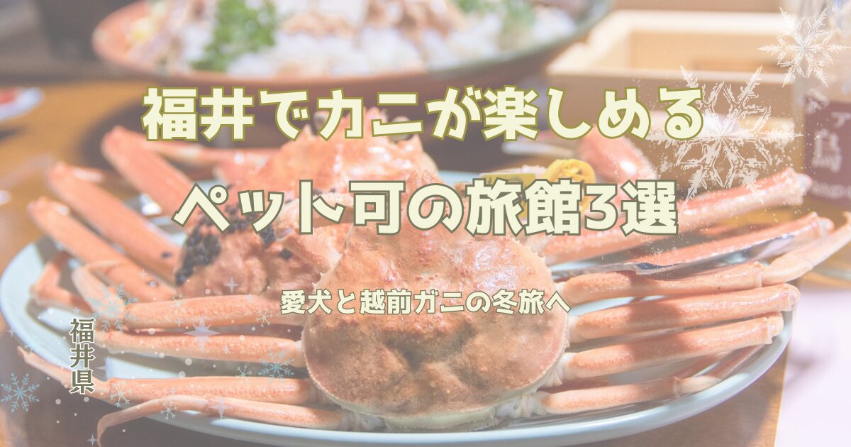 「福井でカニが楽しめるペット可の旅館3選」の記事に使用するアイキャッチ画像